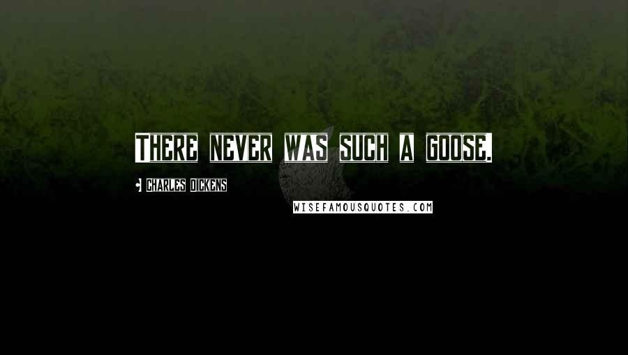 Charles Dickens Quotes: There never was such a goose.