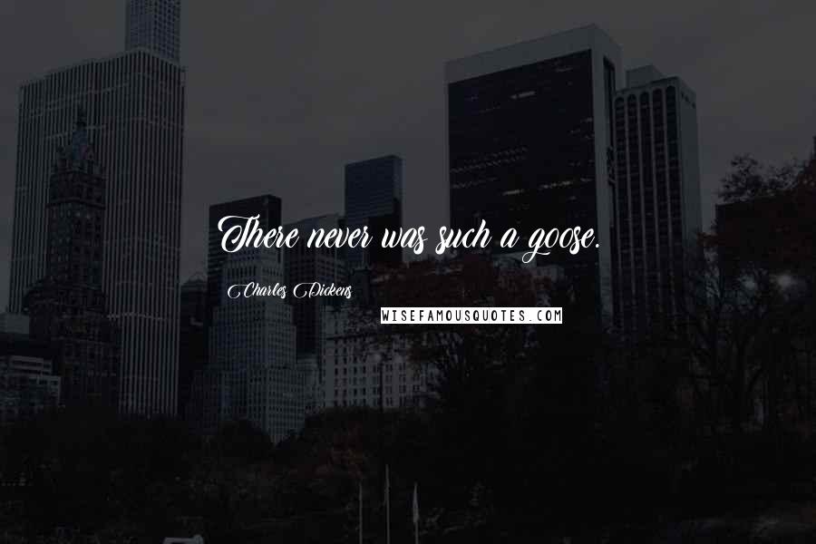 Charles Dickens Quotes: There never was such a goose.