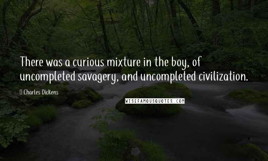 Charles Dickens Quotes: There was a curious mixture in the boy, of uncompleted savagery, and uncompleted civilization.