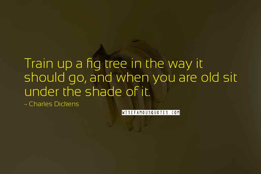 Charles Dickens Quotes: Train up a fig tree in the way it should go, and when you are old sit under the shade of it.