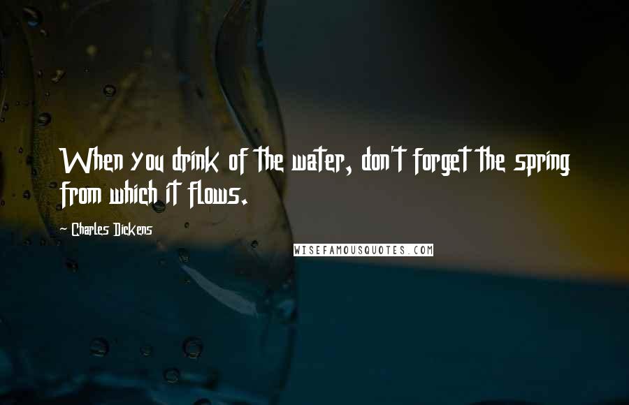 Charles Dickens Quotes: When you drink of the water, don't forget the spring from which it flows.