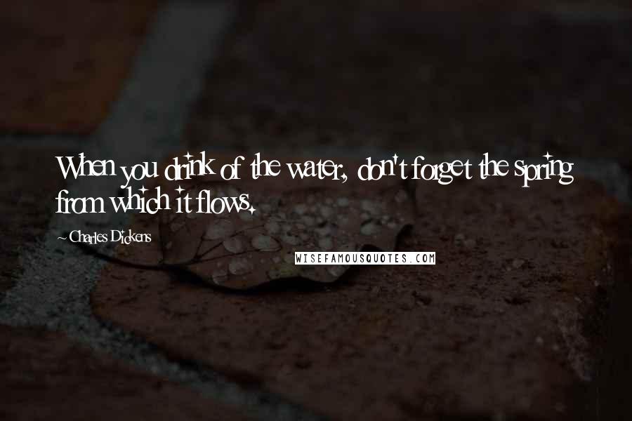 Charles Dickens Quotes: When you drink of the water, don't forget the spring from which it flows.
