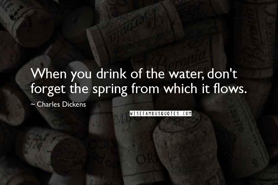 Charles Dickens Quotes: When you drink of the water, don't forget the spring from which it flows.