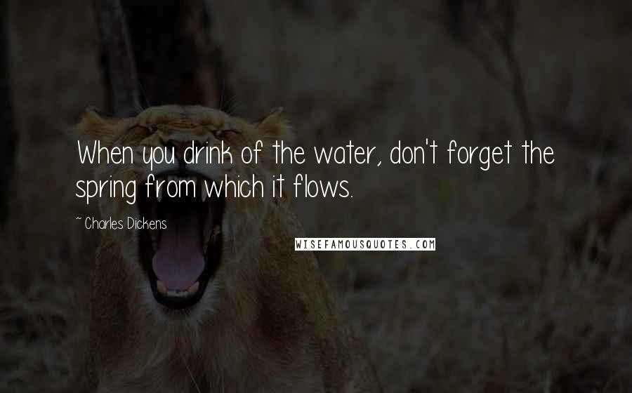 Charles Dickens Quotes: When you drink of the water, don't forget the spring from which it flows.