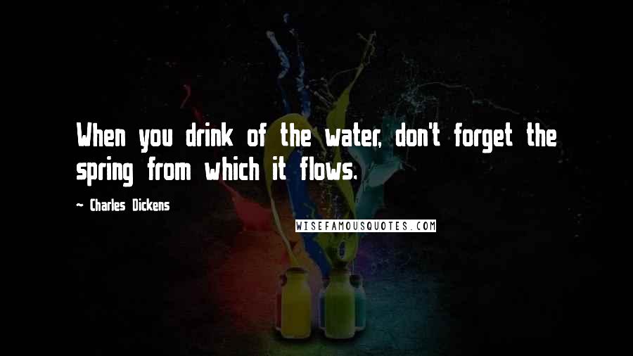 Charles Dickens Quotes: When you drink of the water, don't forget the spring from which it flows.