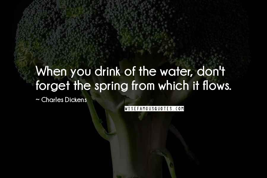 Charles Dickens Quotes: When you drink of the water, don't forget the spring from which it flows.