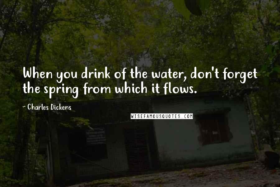 Charles Dickens Quotes: When you drink of the water, don't forget the spring from which it flows.