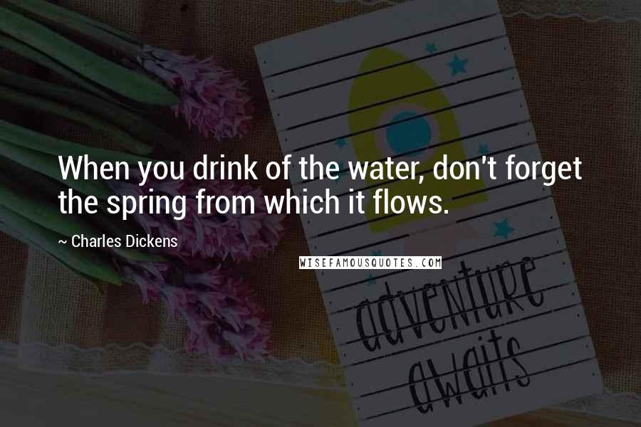 Charles Dickens Quotes: When you drink of the water, don't forget the spring from which it flows.