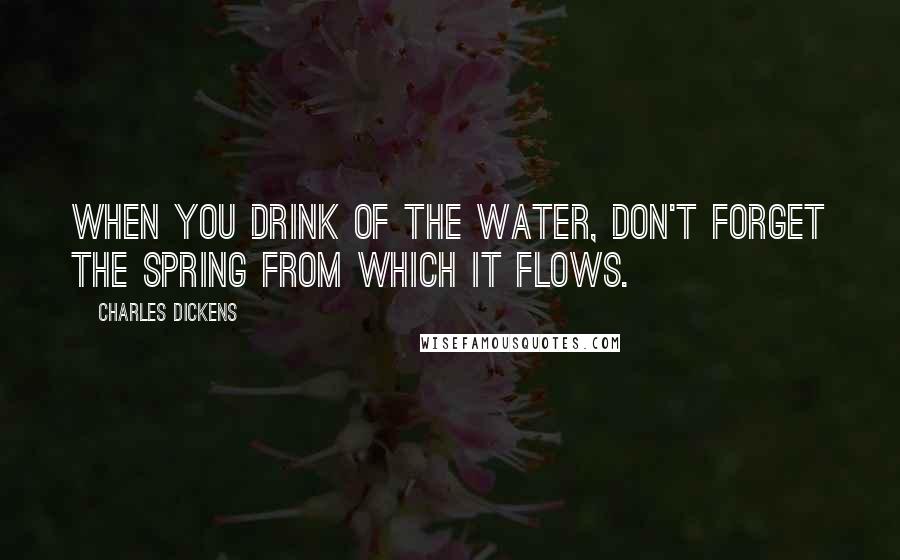 Charles Dickens Quotes: When you drink of the water, don't forget the spring from which it flows.