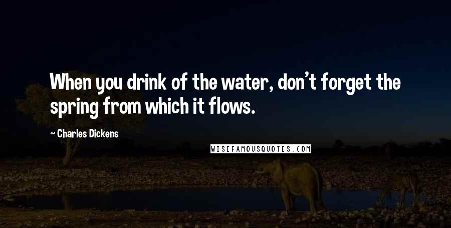 Charles Dickens Quotes: When you drink of the water, don't forget the spring from which it flows.