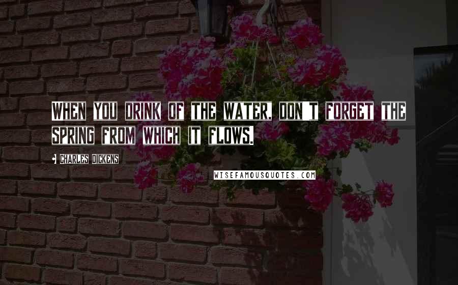 Charles Dickens Quotes: When you drink of the water, don't forget the spring from which it flows.