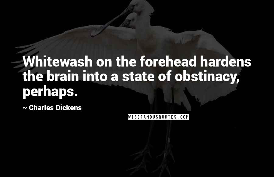 Charles Dickens Quotes: Whitewash on the forehead hardens the brain into a state of obstinacy, perhaps.