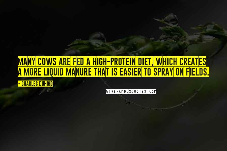 Charles Duhigg Quotes: Many cows are fed a high-protein diet, which creates a more liquid manure that is easier to spray on fields.