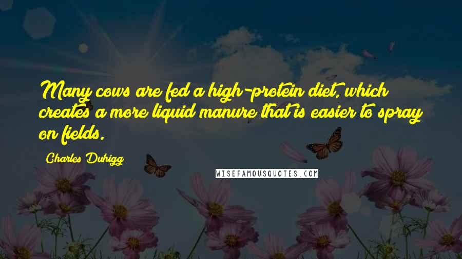 Charles Duhigg Quotes: Many cows are fed a high-protein diet, which creates a more liquid manure that is easier to spray on fields.