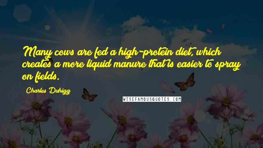 Charles Duhigg Quotes: Many cows are fed a high-protein diet, which creates a more liquid manure that is easier to spray on fields.