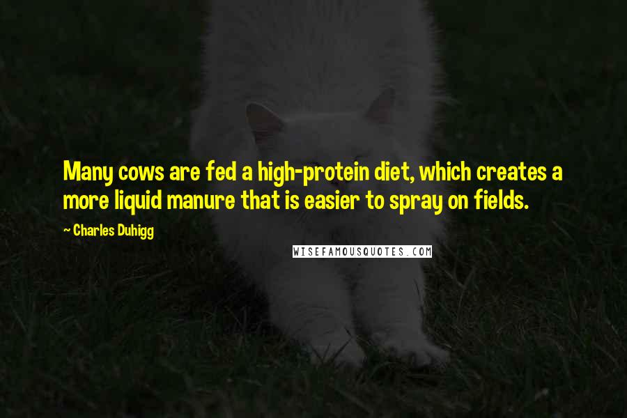 Charles Duhigg Quotes: Many cows are fed a high-protein diet, which creates a more liquid manure that is easier to spray on fields.