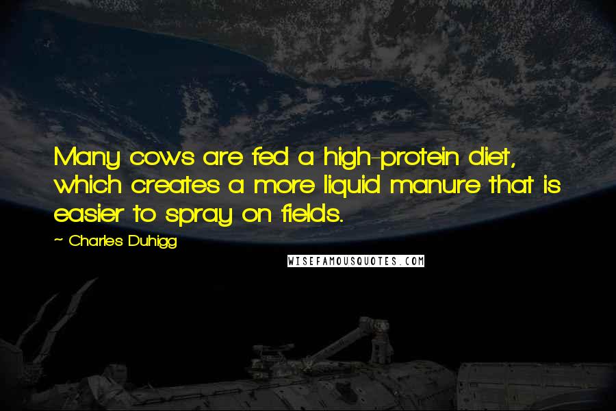 Charles Duhigg Quotes: Many cows are fed a high-protein diet, which creates a more liquid manure that is easier to spray on fields.