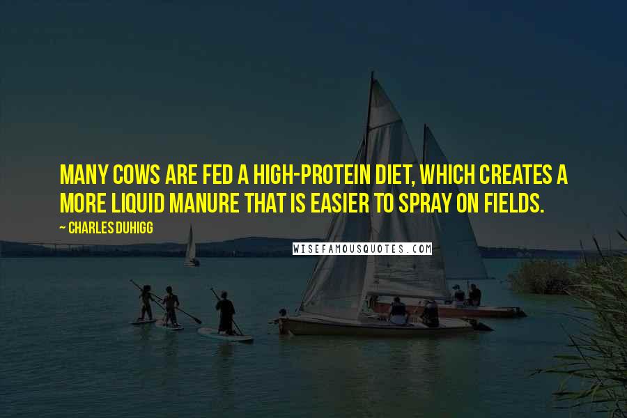 Charles Duhigg Quotes: Many cows are fed a high-protein diet, which creates a more liquid manure that is easier to spray on fields.