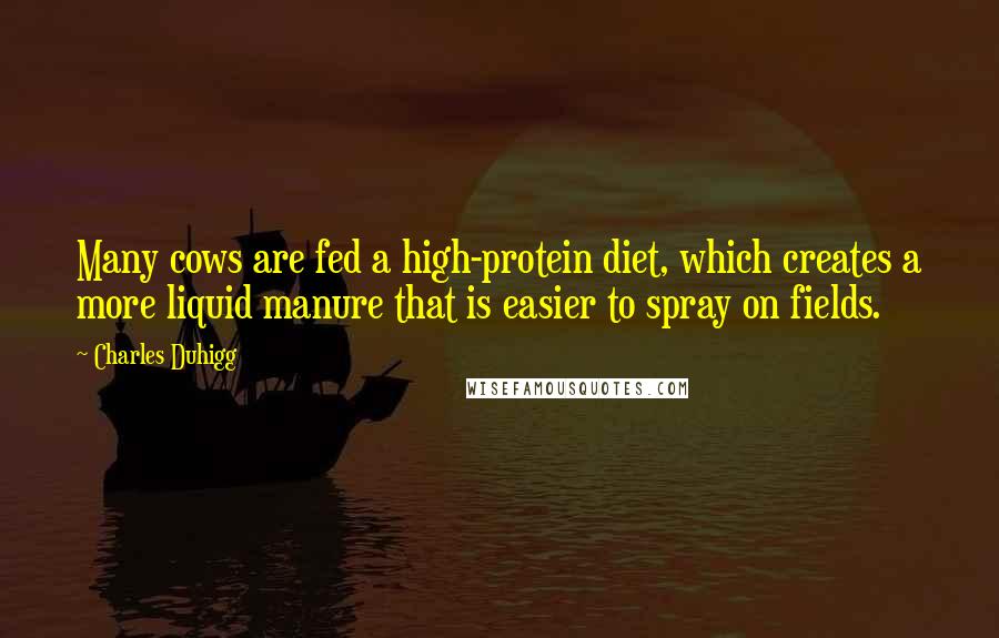 Charles Duhigg Quotes: Many cows are fed a high-protein diet, which creates a more liquid manure that is easier to spray on fields.