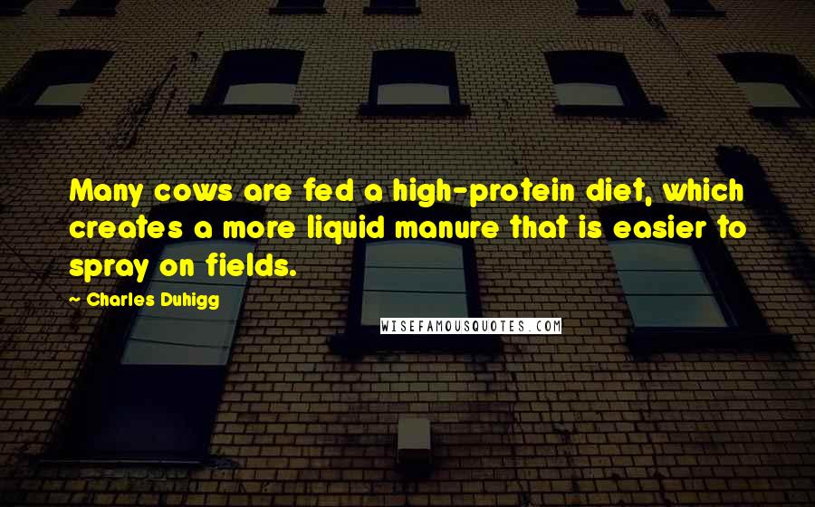 Charles Duhigg Quotes: Many cows are fed a high-protein diet, which creates a more liquid manure that is easier to spray on fields.