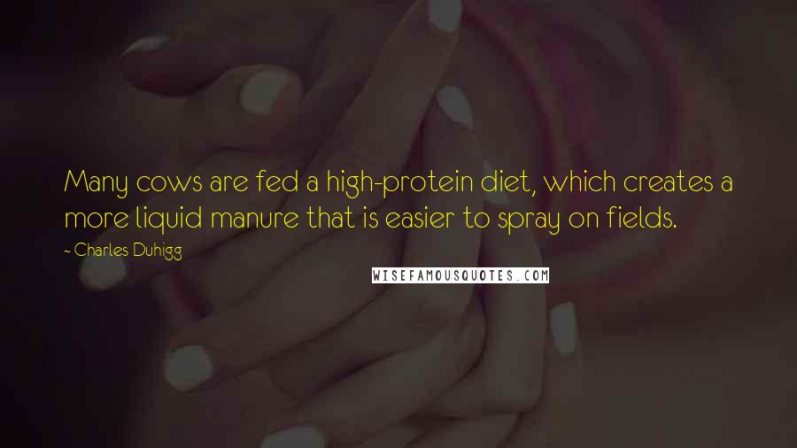 Charles Duhigg Quotes: Many cows are fed a high-protein diet, which creates a more liquid manure that is easier to spray on fields.