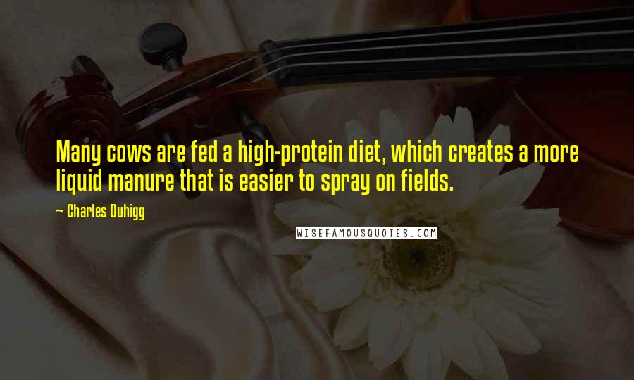 Charles Duhigg Quotes: Many cows are fed a high-protein diet, which creates a more liquid manure that is easier to spray on fields.