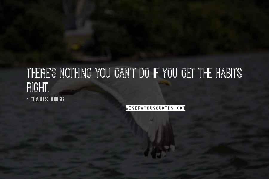 Charles Duhigg Quotes: There's nothing you can't do if you get the habits right.