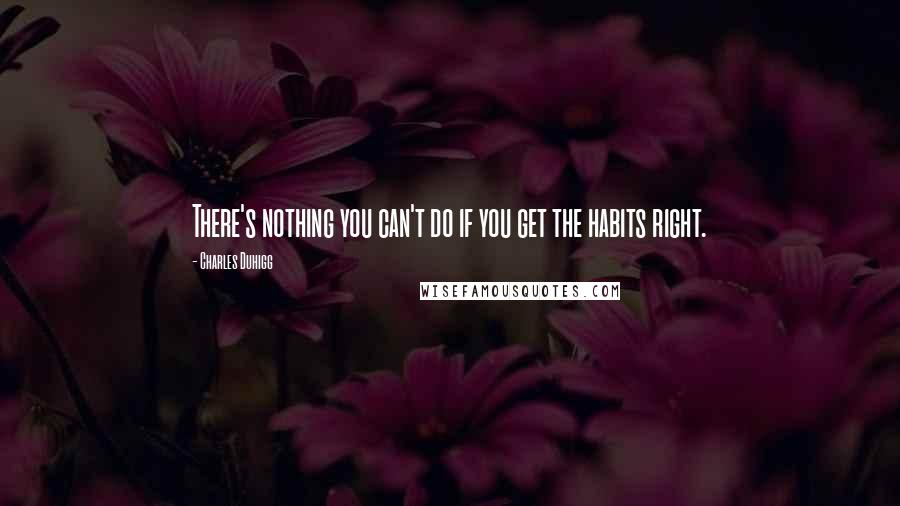 Charles Duhigg Quotes: There's nothing you can't do if you get the habits right.