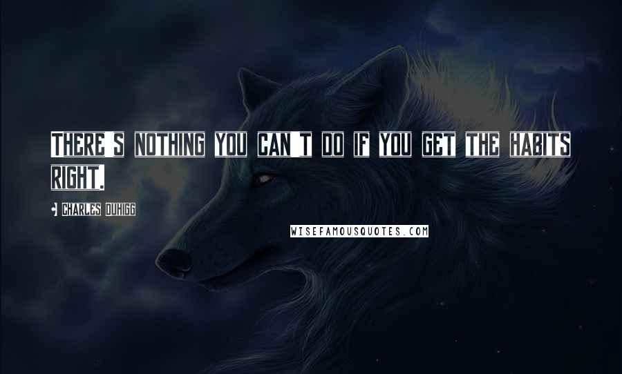 Charles Duhigg Quotes: There's nothing you can't do if you get the habits right.