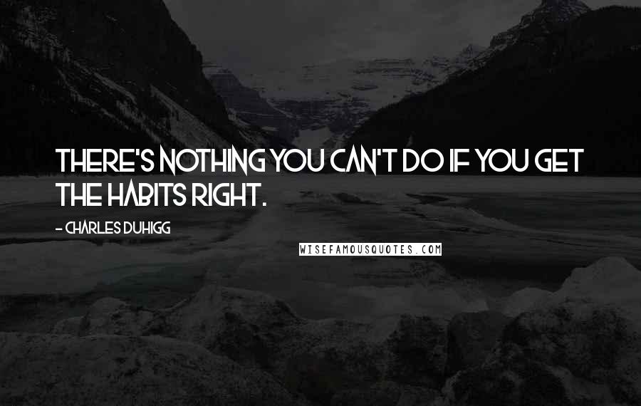 Charles Duhigg Quotes: There's nothing you can't do if you get the habits right.