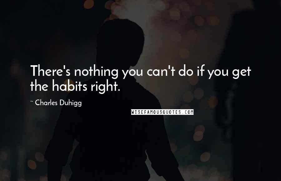 Charles Duhigg Quotes: There's nothing you can't do if you get the habits right.
