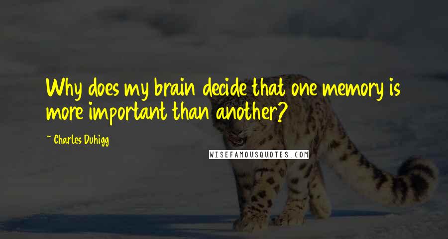 Charles Duhigg Quotes: Why does my brain decide that one memory is more important than another?