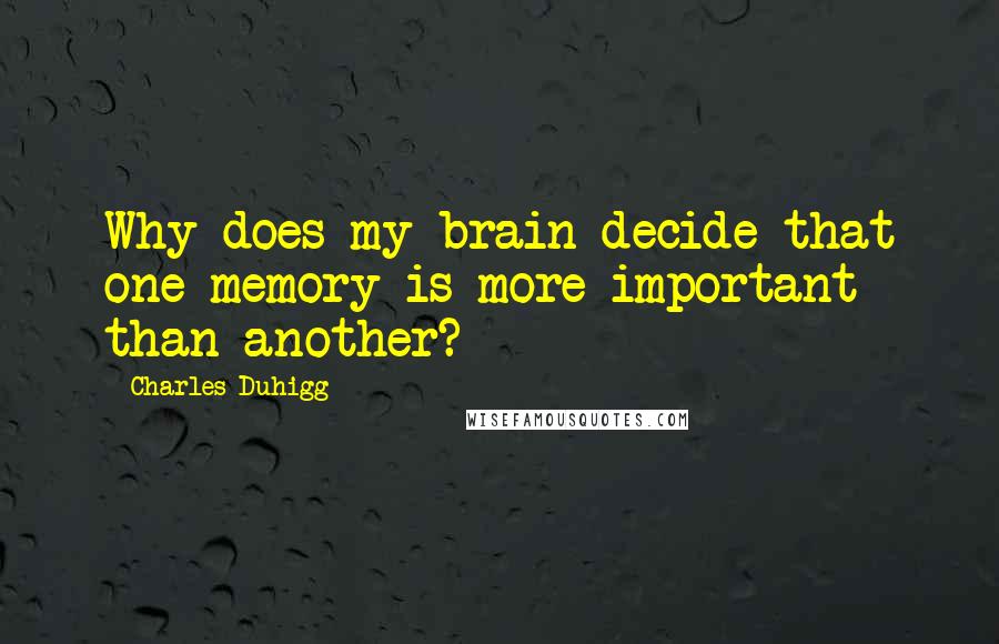 Charles Duhigg Quotes: Why does my brain decide that one memory is more important than another?