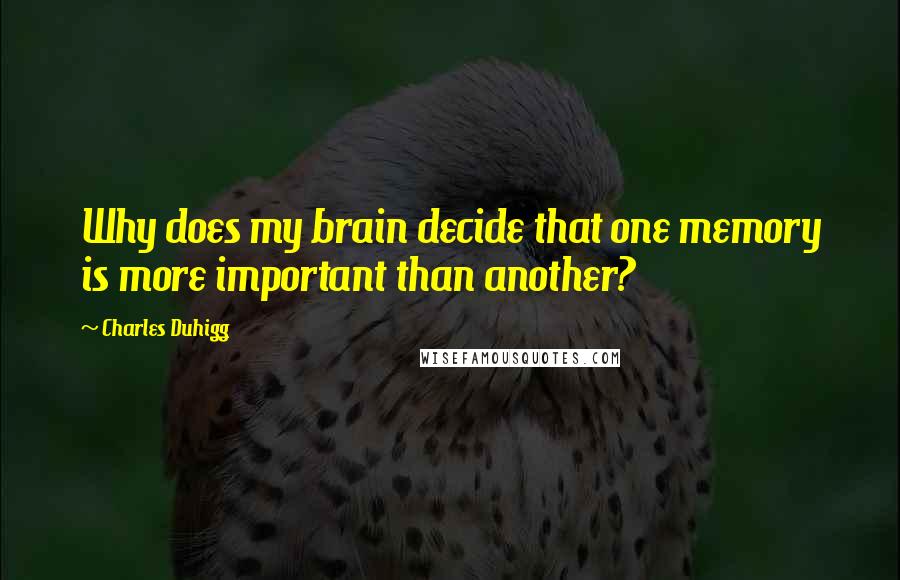 Charles Duhigg Quotes: Why does my brain decide that one memory is more important than another?