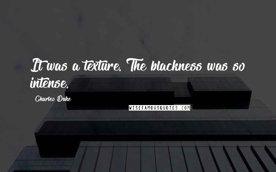 Charles Duke Quotes: It was a texture. The blackness was so intense.