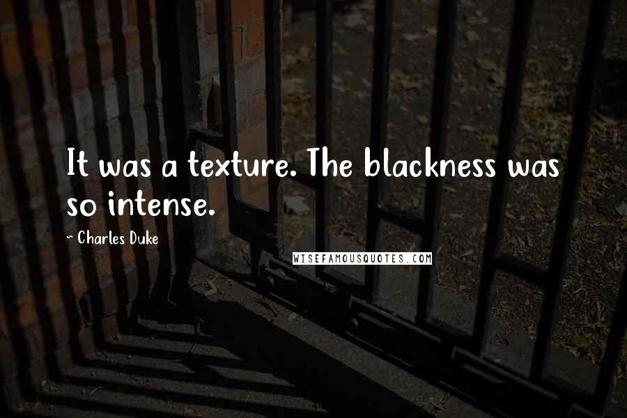 Charles Duke Quotes: It was a texture. The blackness was so intense.