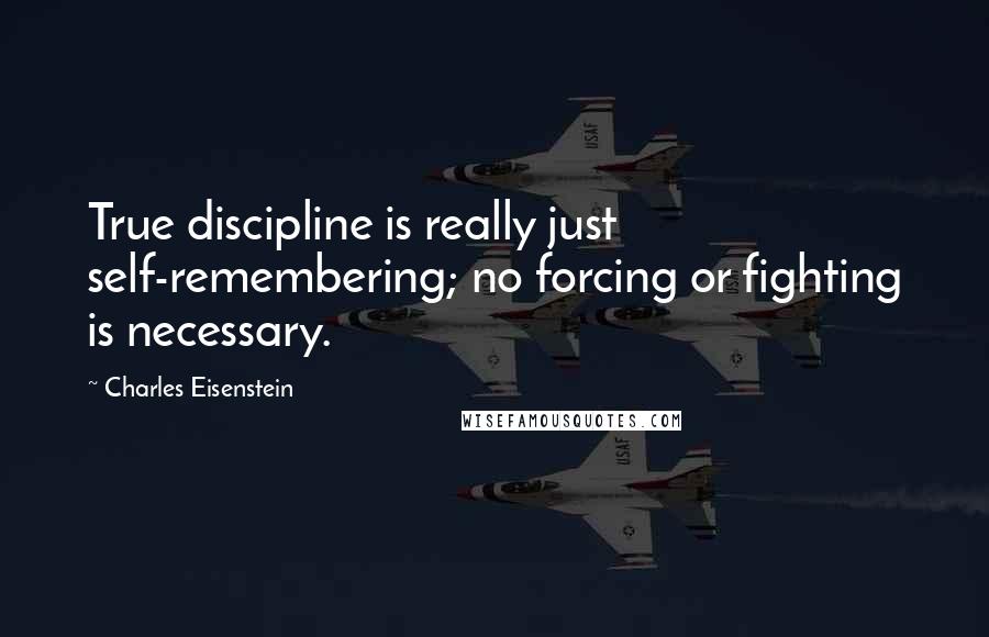 Charles Eisenstein Quotes: True discipline is really just self-remembering; no forcing or fighting is necessary.