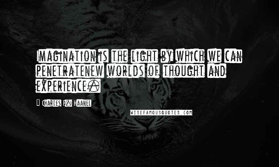 Charles F. Haanel Quotes: Imagination is the light by which we can penetratenew worlds of thought and experience.