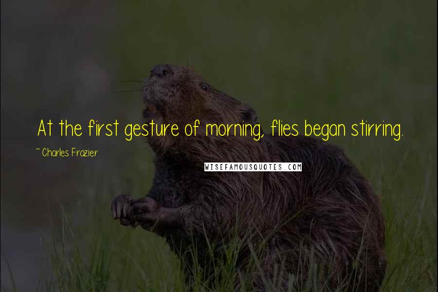 Charles Frazier Quotes: At the first gesture of morning, flies began stirring.