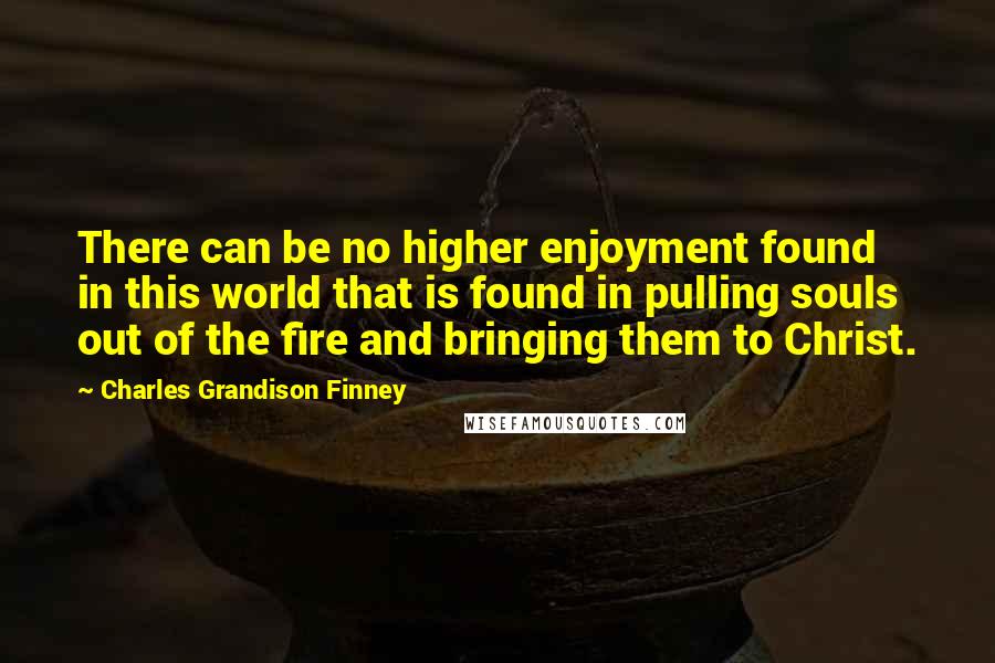 Charles Grandison Finney Quotes: There can be no higher enjoyment found in this world that is found in pulling souls out of the fire and bringing them to Christ.