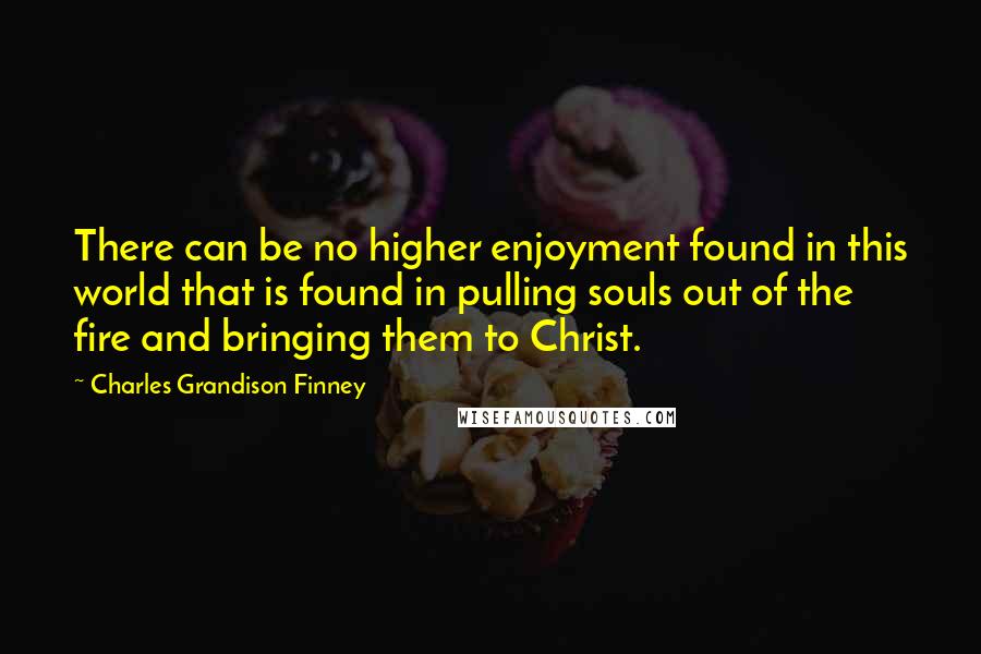 Charles Grandison Finney Quotes: There can be no higher enjoyment found in this world that is found in pulling souls out of the fire and bringing them to Christ.