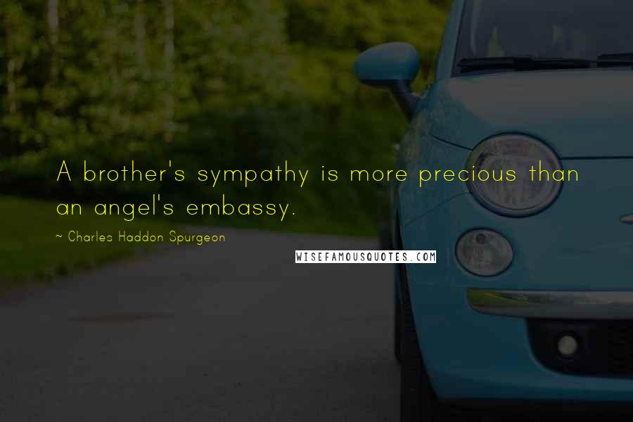Charles Haddon Spurgeon Quotes: A brother's sympathy is more precious than an angel's embassy.