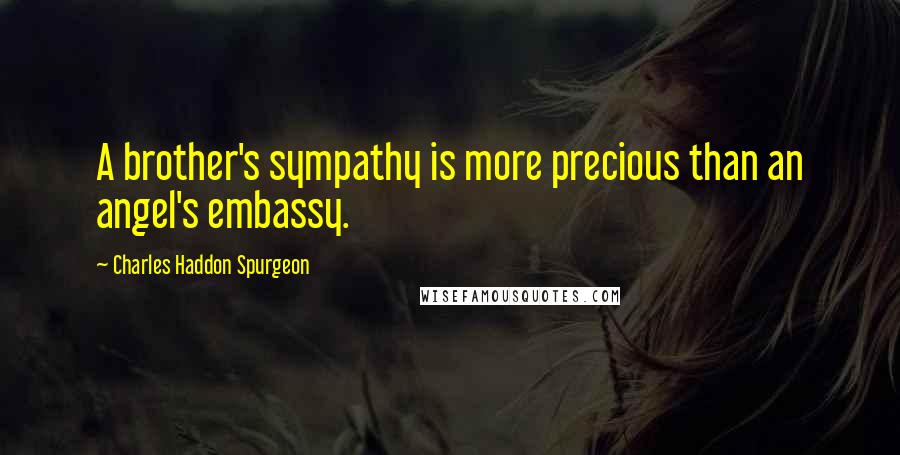 Charles Haddon Spurgeon Quotes: A brother's sympathy is more precious than an angel's embassy.