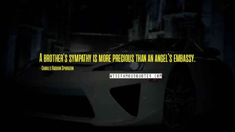 Charles Haddon Spurgeon Quotes: A brother's sympathy is more precious than an angel's embassy.