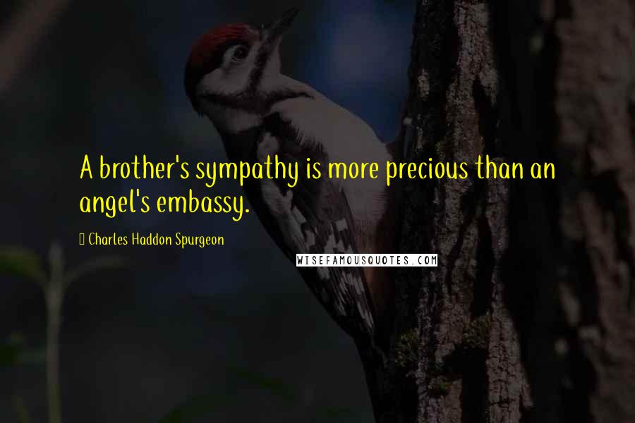 Charles Haddon Spurgeon Quotes: A brother's sympathy is more precious than an angel's embassy.