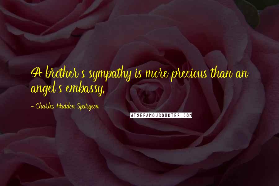 Charles Haddon Spurgeon Quotes: A brother's sympathy is more precious than an angel's embassy.