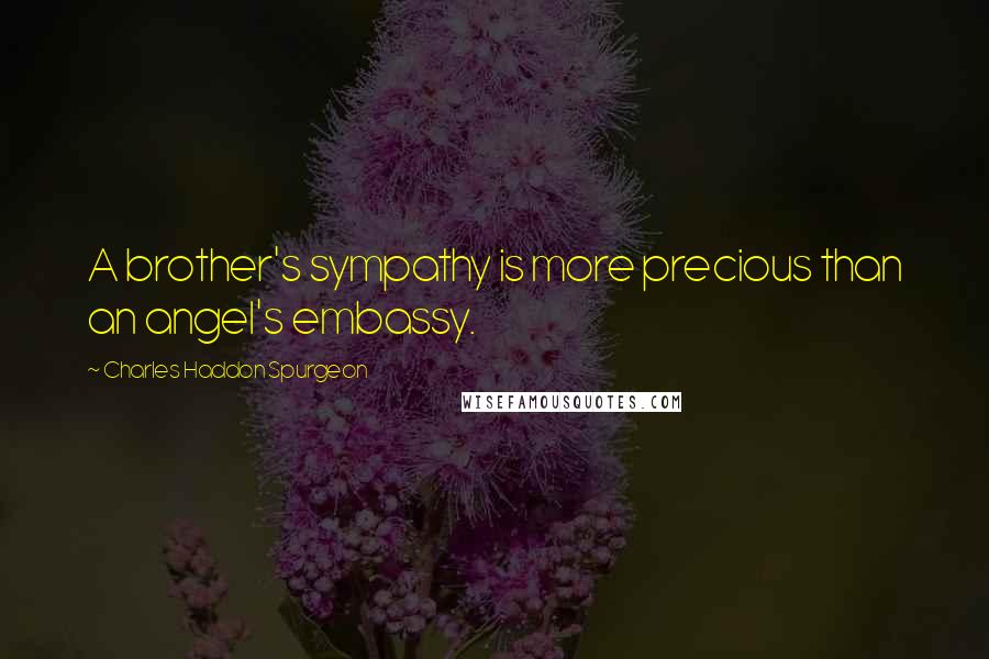 Charles Haddon Spurgeon Quotes: A brother's sympathy is more precious than an angel's embassy.