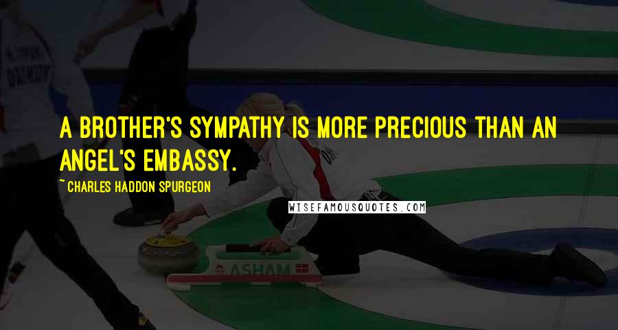 Charles Haddon Spurgeon Quotes: A brother's sympathy is more precious than an angel's embassy.