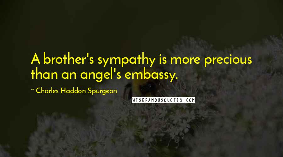 Charles Haddon Spurgeon Quotes: A brother's sympathy is more precious than an angel's embassy.