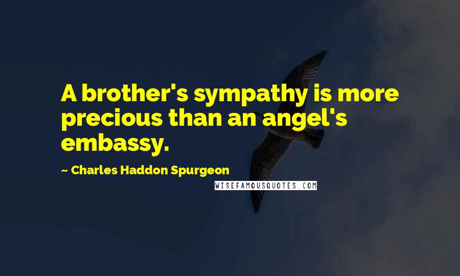 Charles Haddon Spurgeon Quotes: A brother's sympathy is more precious than an angel's embassy.